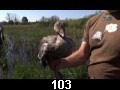 odc. 103