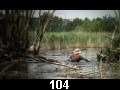 odc. 104