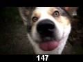 odc. 147