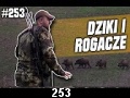 odc. 253