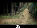 odc. 35