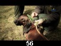 odc. 56