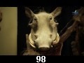 odc. 98