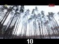 odc. 10