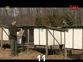 odc. 11