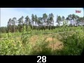 odc. 28