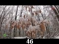 odc. 46