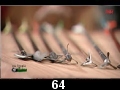 odc. 64