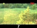 odc. 7
