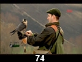 odc. 74