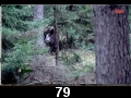 odc. 79